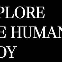 BODY MUSEUM